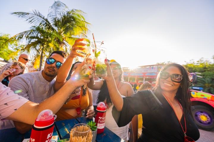 Group of people toasting with drinks outdoors, sunny day, palm trees in background.
