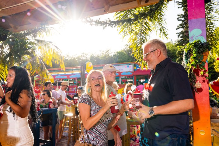 People enjoying a sunny outdoor party, holding drinks and laughing.