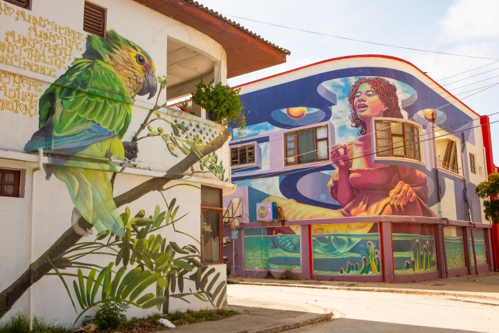 Buildings with vibrant murals of a parrot and a woman with a cup under a blue sky.
