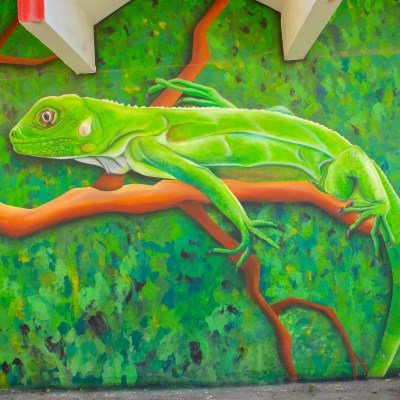 Green iguana mural on a branch with leafy background.
