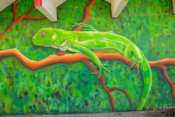 Green iguana mural on a branch with leafy background.