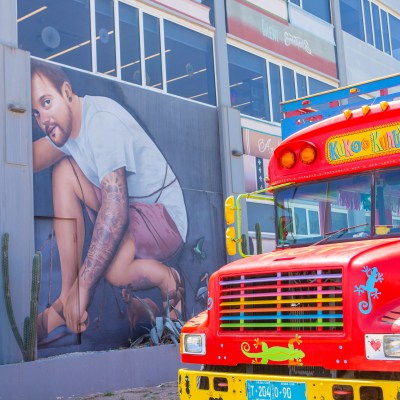 Colorful bus parked by mural of person crouching with tropical plants.