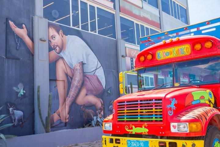 Colorful bus parked by mural of person crouching with tropical plants.
