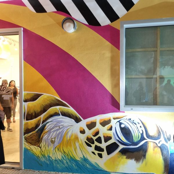 Colorful mural of sea turtle near doorway on a building wall.